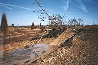 Large hole and tree structure