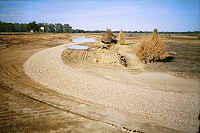 Pea gravel bedding area alongd road