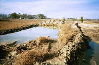 Hole and ditch for bass