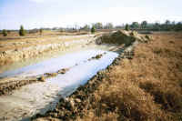 Ditch for bass fishing