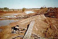 Sheba on island with logs for bass structure