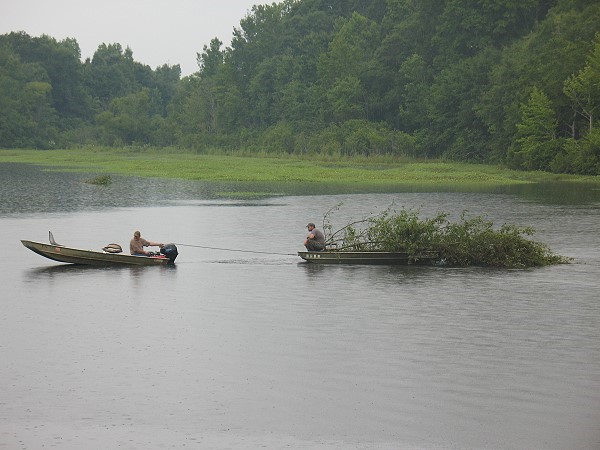 Hauling trees for Lake Gayle structure, July 2014