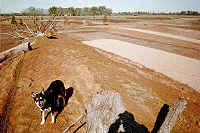 Bream island with pea gravel bedding areas