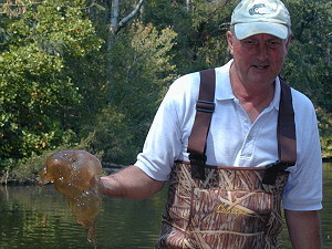 Wilson with a blob of bryozoa