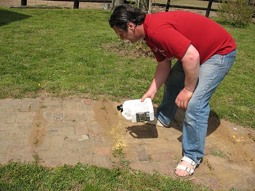 Jerry King poisoning fire ants