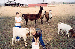 Lauren and Hudson Wilson feeding the animals in Earl's World