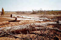 Logs for structure on islands