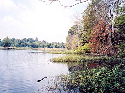 Snag Lake