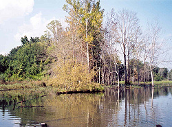 Snag Lake