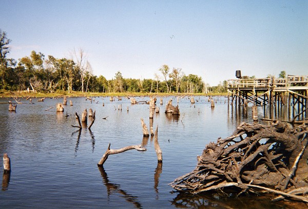 Swamp Lake during drought of 2007